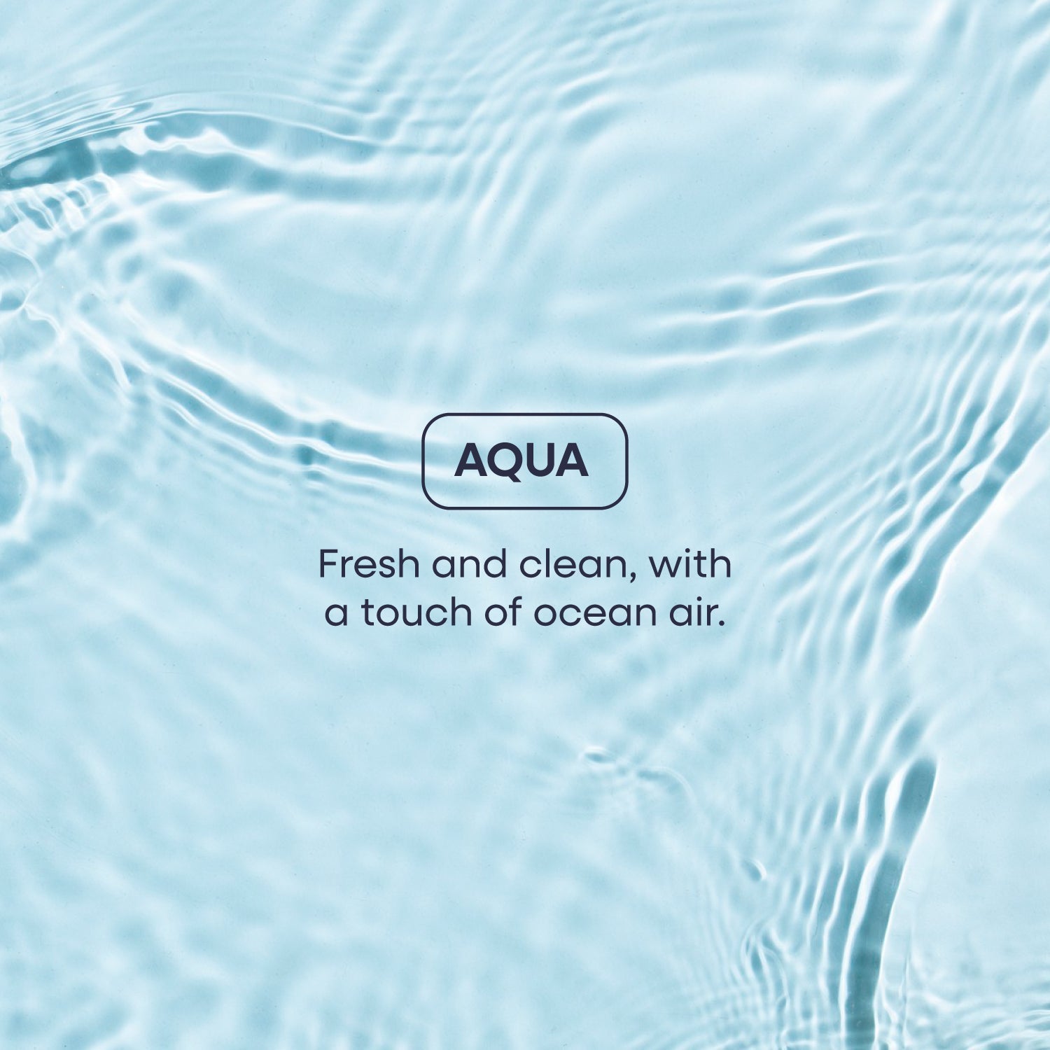 Body Care Starter Kit Essential Products for Daily Self Care
